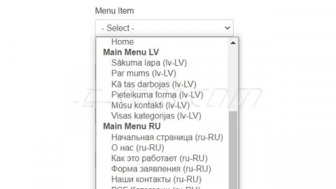 Menu Item