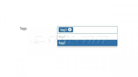 Tags